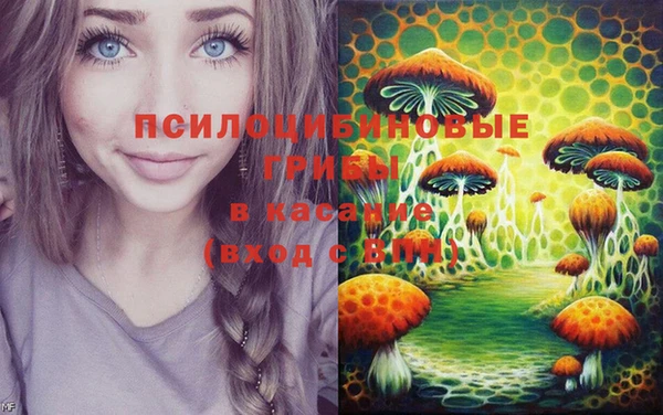 кокаин Алексеевка