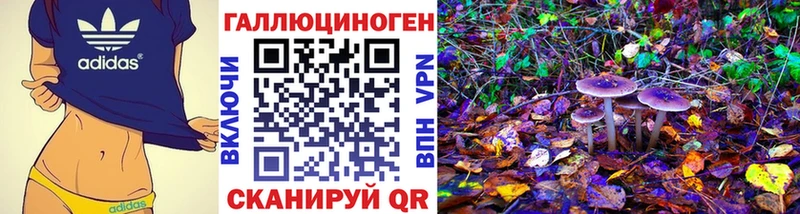 Псилоцибиновые грибы GOLDEN TEACHER  hydra ссылки  Жиздра  где продают  